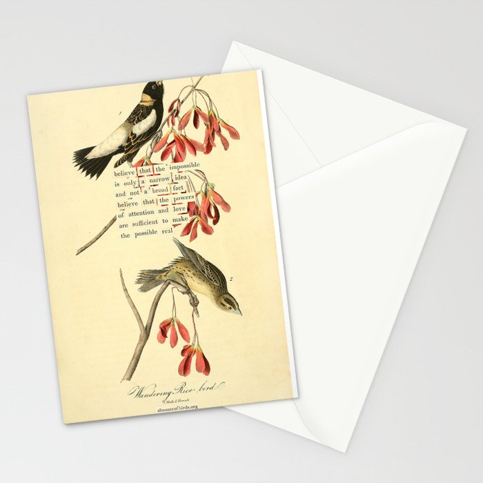 Bird Divinations: Wandering Rice Bird (about: almanacofbirds.org) Stationery Card Gallery Image 2