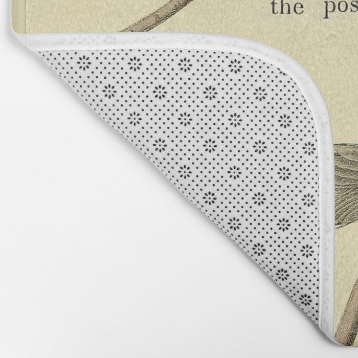 Bird Divinations: Wandering Rice Bird (about: almanacofbirds.org) Bath Mat Gallery Image 2
