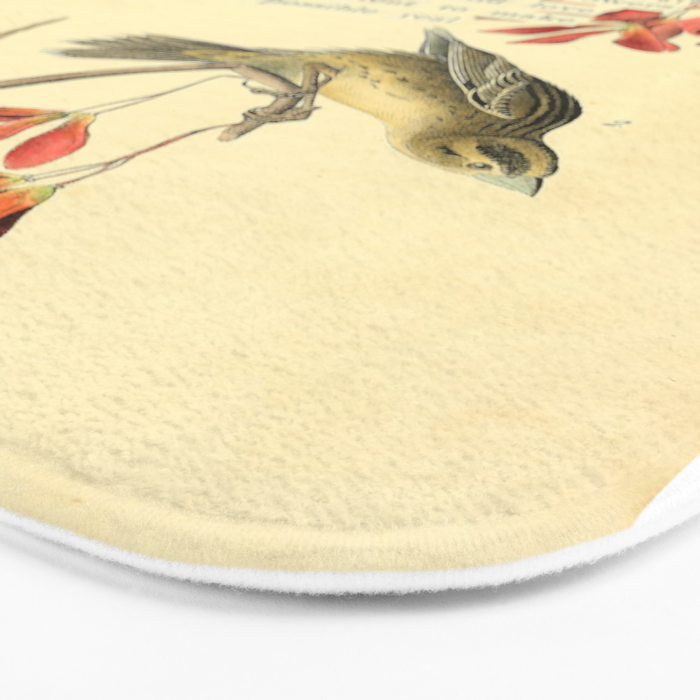 Bird Divinations: Wandering Rice Bird (about: almanacofbirds.org) Bath Mat Gallery Image 3