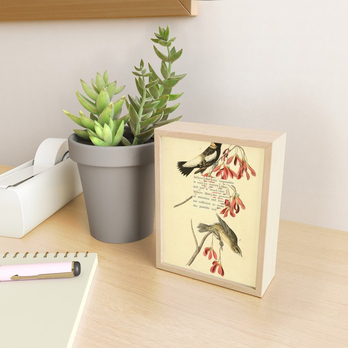 Bird Divinations: Wandering Rice Bird (about: almanacofbirds.org) Mini Art Print Gallery Image 2