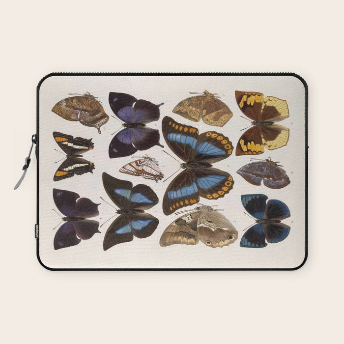 Vintage Scientific Insect Butterfly Moth Biological Hand Drawn Species Art Illustration Laptop Sleeve Gallery Image 1