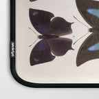 Vintage Scientific Insect Butterfly Moth Biological Hand Drawn Species Art Illustration Laptop Sleeve Gallery Image 3