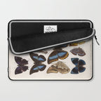 Vintage Scientific Insect Butterfly Moth Biological Hand Drawn Species Art Illustration Laptop Sleeve Gallery Image 2