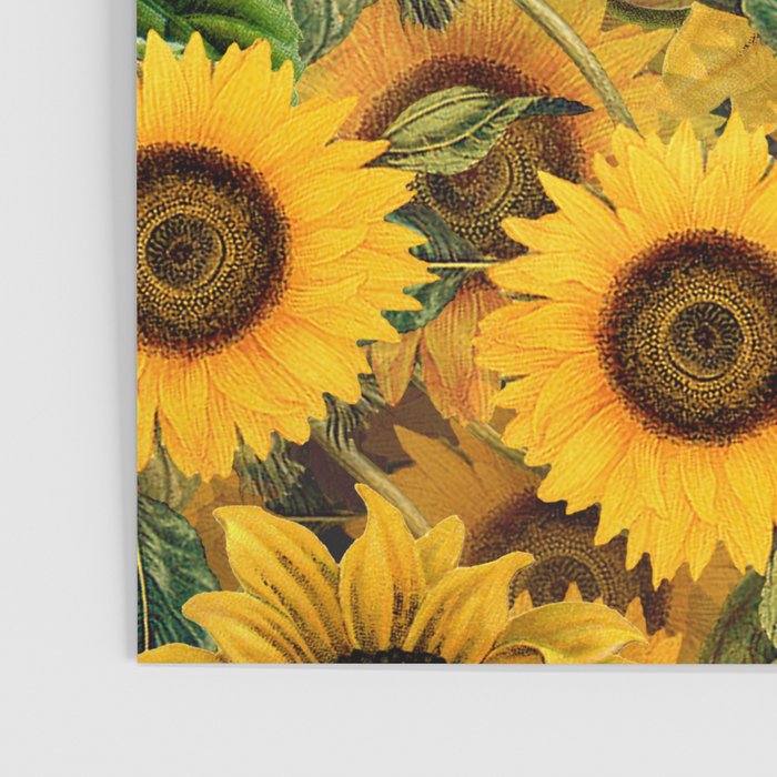 Vintage & Shabby Chic - Noon Sunflowers Garden Poster Gallery Image 3