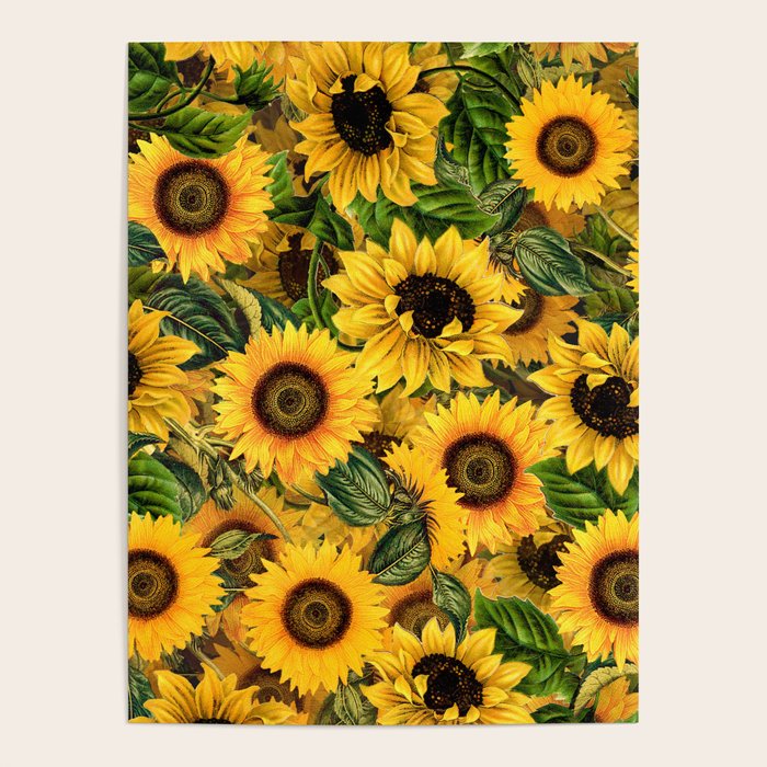 Vintage & Shabby Chic - Noon Sunflowers Garden Poster Gallery Image 4