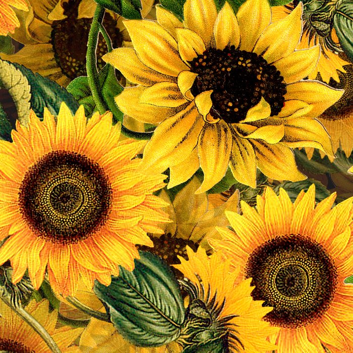 Vintage & Shabby Chic - Noon Sunflowers Garden Coffee Mug Gallery Image 2