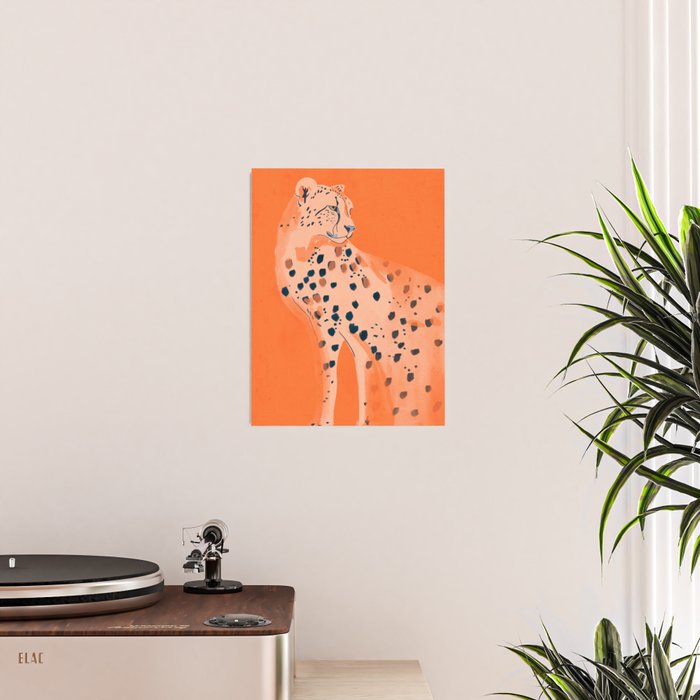 Cheetah 16 Poster Gallery Image 2