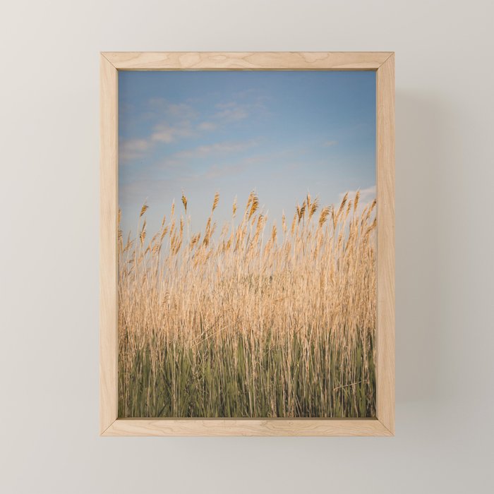 Colors of Nantucket Mini Art Print Gallery Image 1