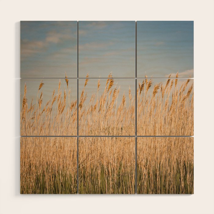 Colors of Nantucket Wood Wall Art Gallery Image 1
