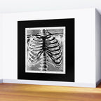 Vintage Skeleton Torso Wall Mural Gallery Image 2