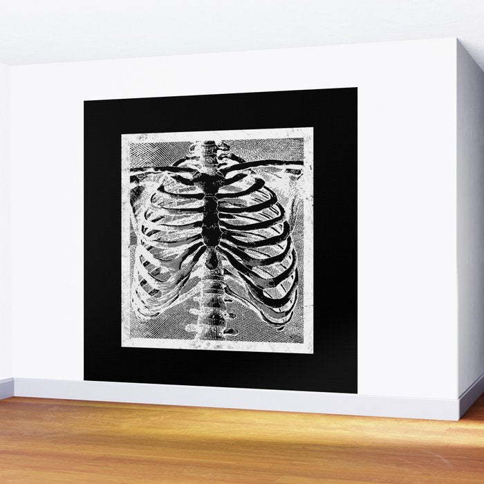Vintage Skeleton Torso Wall Mural Gallery Image 2
