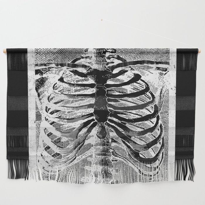 Vintage Skeleton Torso Wall Hanging Gallery Image 1