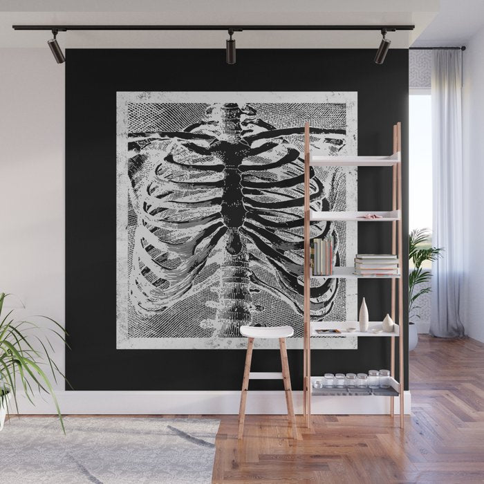 Vintage Skeleton Torso Wall Mural Gallery Image 1