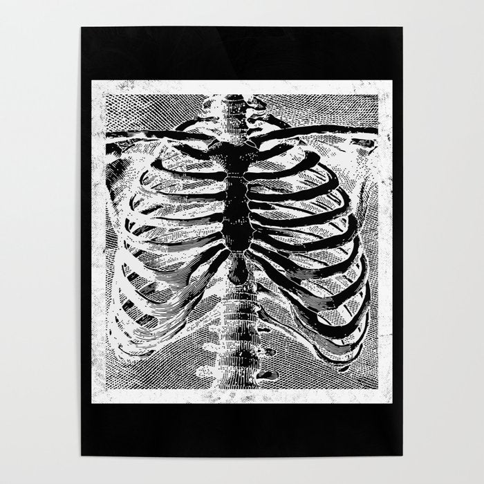 Vintage Skeleton Torso Poster Gallery Image 4
