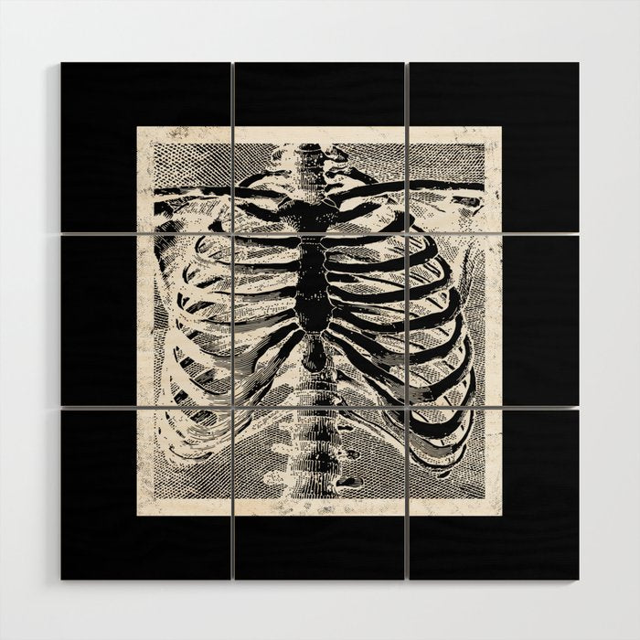 Vintage Skeleton Torso Wood Wall Art Gallery Image 1