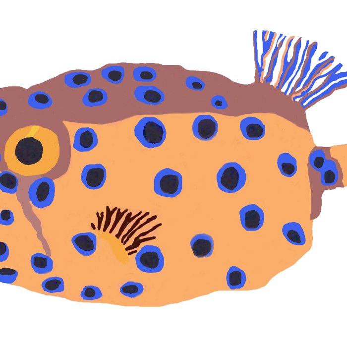 Box Fish Coffee Mug Gallery Image 2