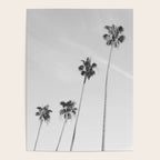 Black & White Palm Trees, Beach Palms Poster Gallery Image 4