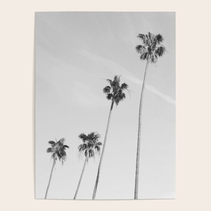 Black & White Palm Trees, Beach Palms Poster Gallery Image 1
