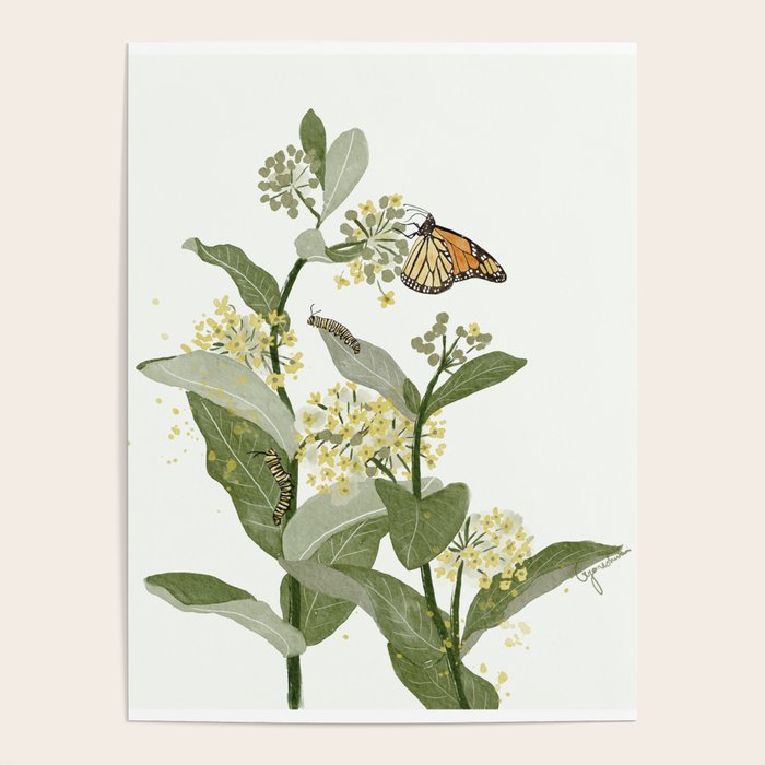 Monarch's Milkweeds Poster Gallery Image 4