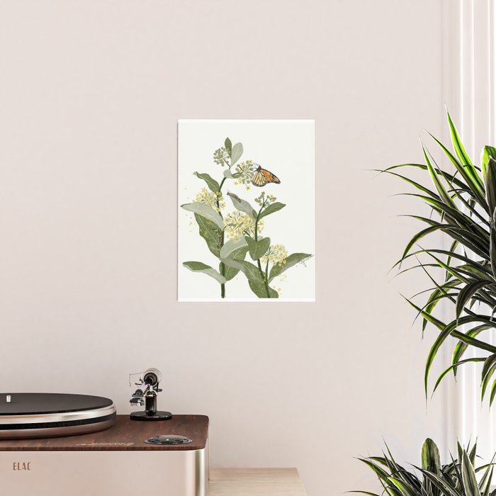 Monarch's Milkweeds Poster Gallery Image 2