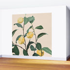 Lemon Wall Mural Gallery Image 2