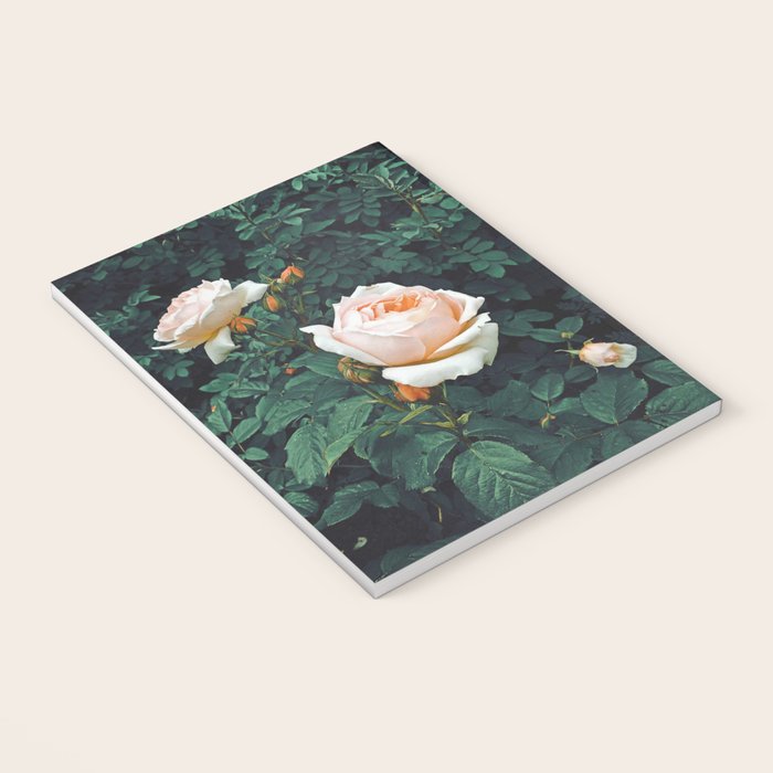Dark Garden Notebook Gallery Image 3