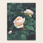 Dark Garden Notebook Gallery Image 4