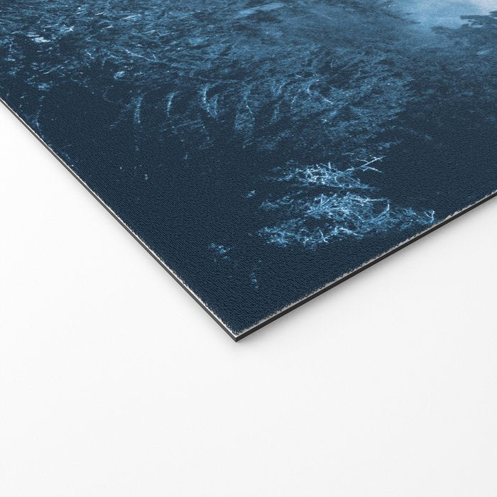 Blue Forest Melody  - 18/365 Welcome Mat Gallery Image 2