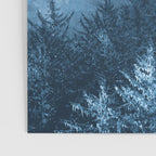 Blue Forest Melody  - 18/365 Poster Gallery Image 3