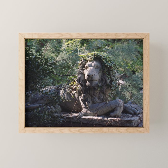 Lion in the Garden | 35mm Film Photography Mini Art Print Gallery Image 1