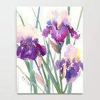 Irises, purple floral art, garden iris Notebook Gallery Image 4