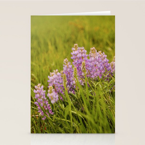 Wyoming Lupine II Stationery Card Gallery Image 2