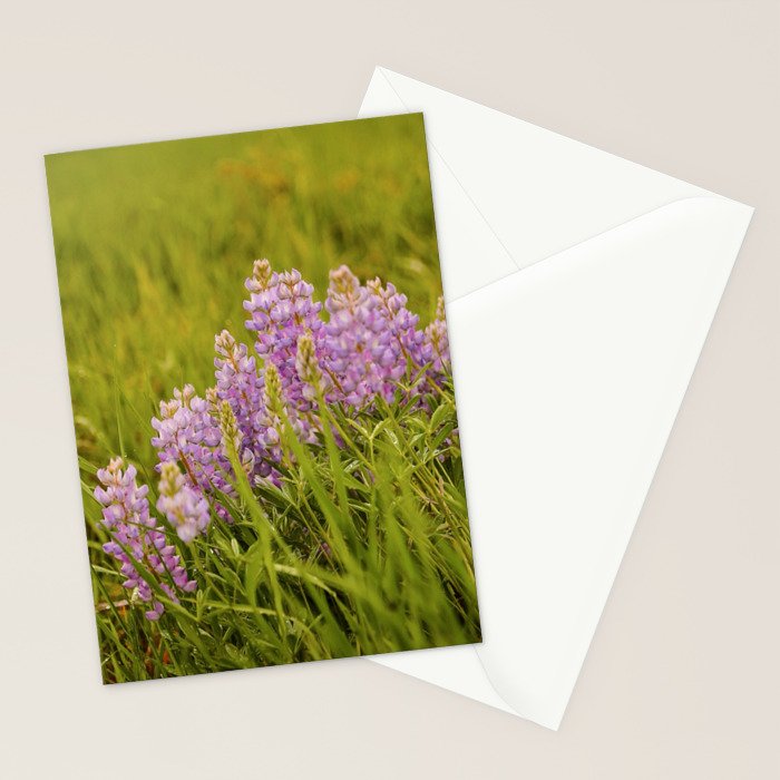 Wyoming Lupine II Stationery Card Gallery Image 2