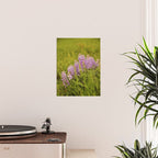 Wyoming Lupine II Poster Gallery Image 2