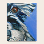 Scruffy Whiskers Black and White Dog Portrait Notebook Gallery Image 4
