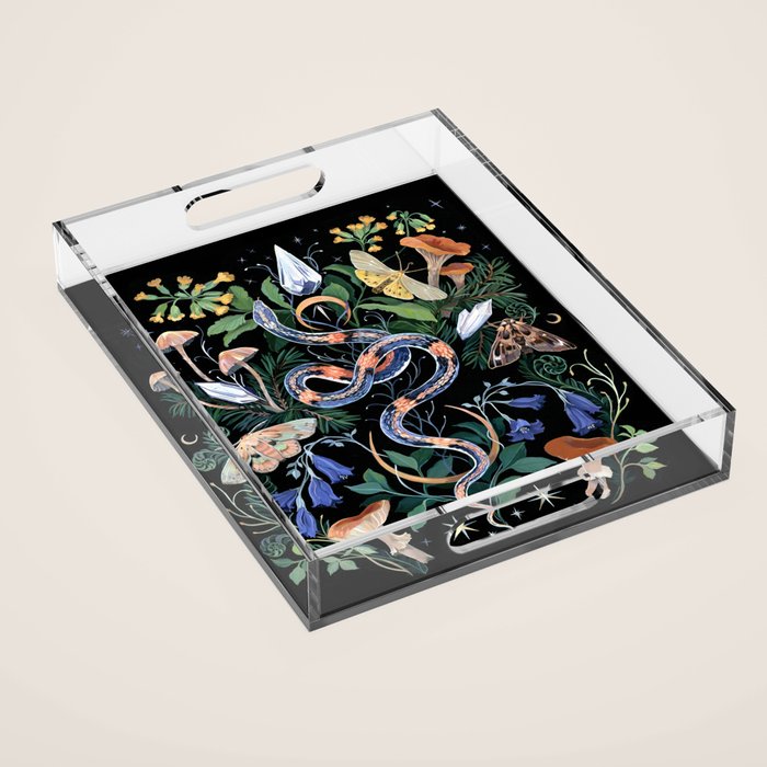 Mushroom Snake Crystals Garden Acrylic Tray Gallery Image 1