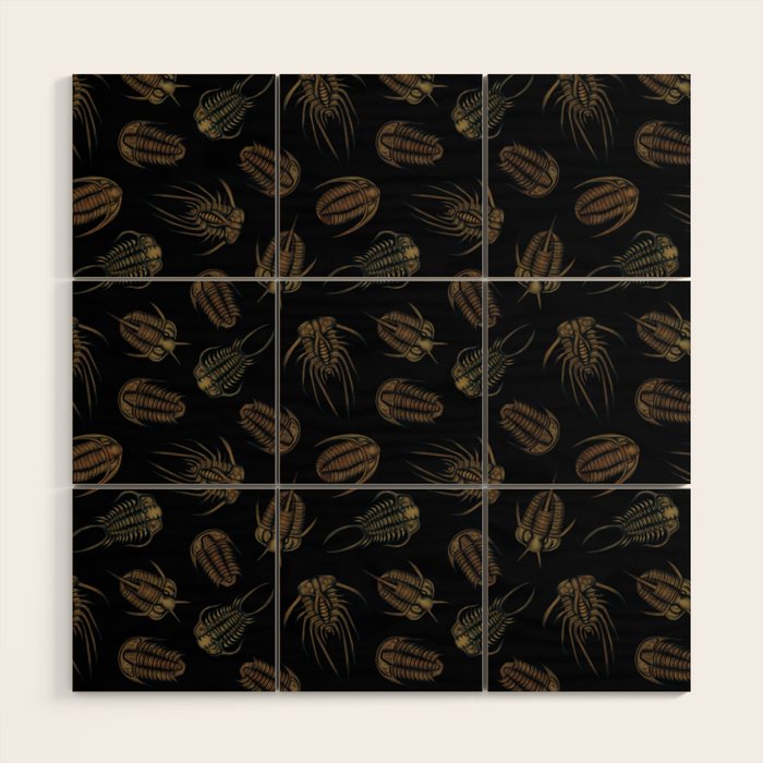 Trilobites - Marine Fossil Pattern Wood Wall Art Gallery Image 1