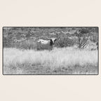 West Texas Longhorn Photography Desk Mat Gallery Image 3
