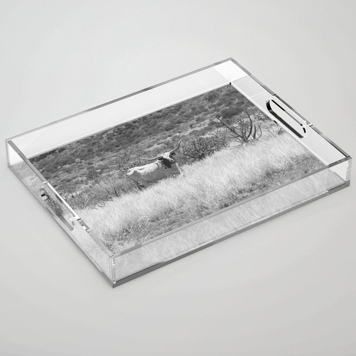 West Texas Longhorn Photography Acrylic Tray Gallery Image 1