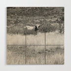West Texas Longhorn Photography Wood Wall Art Gallery Image 1