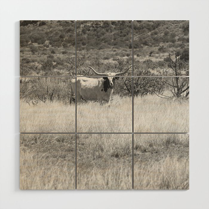 West Texas Longhorn Photography Wood Wall Art Gallery Image 1