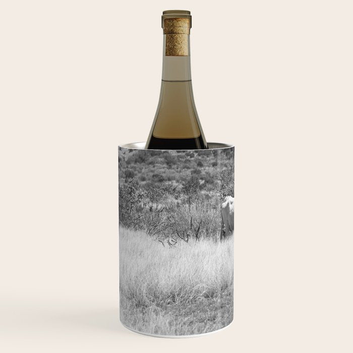 West Texas Longhorn Photography Wine Chiller Gallery Image 2