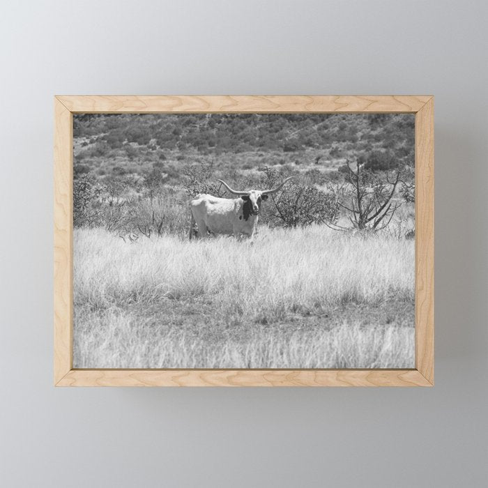 West Texas Longhorn Photography Mini Art Print Gallery Image 1