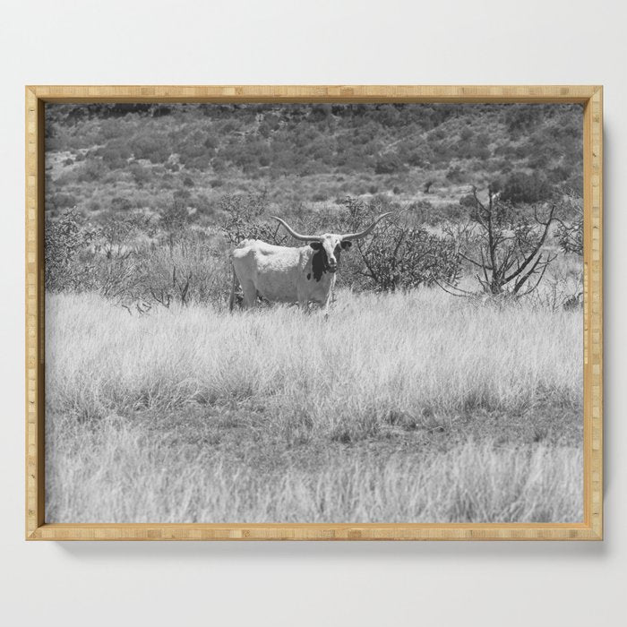 West Texas Longhorn Photography Serving Tray Gallery Image 1