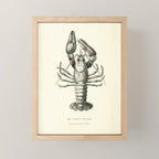 Crayfish (1895) Mini Art Print Gallery Image 1