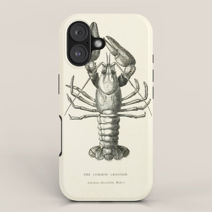 Crayfish (1895) iPhone Case Gallery Image 1