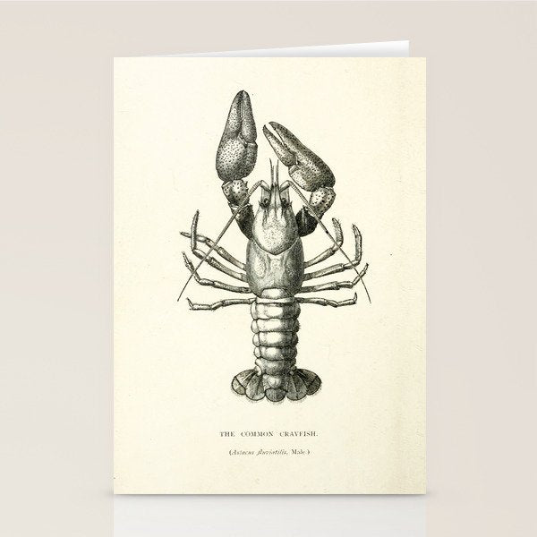 Crayfish (1895) Stationery Card Gallery Image 2