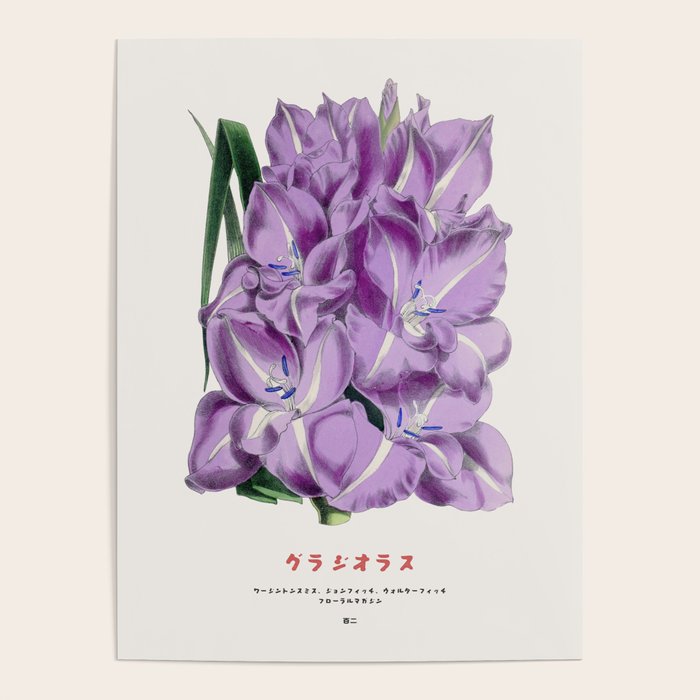 Gladiolus Japanese Botanical Chart Poster Gallery Image 4