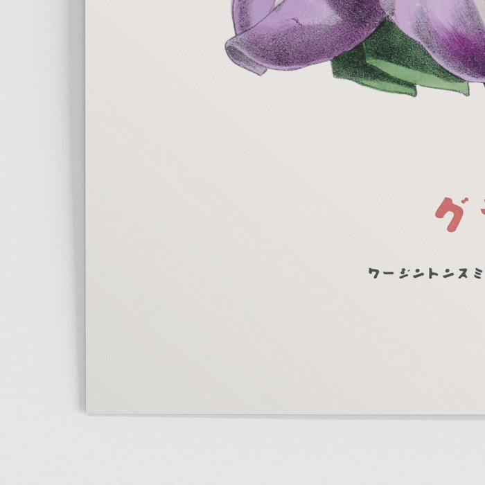 Gladiolus Japanese Botanical Chart Poster Gallery Image 3
