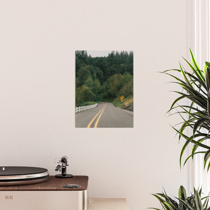 Forest Drive VI Poster Gallery Image 2